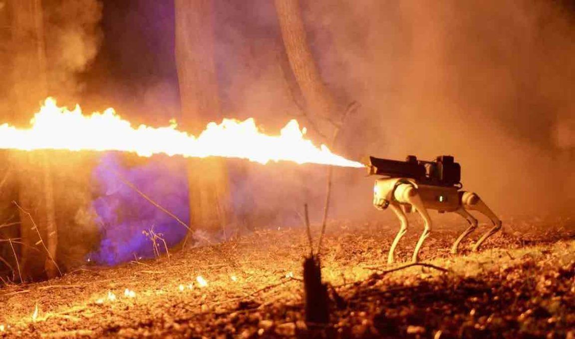 Voici le Thermonator : le premier chien robot lance-flammes au monde ...